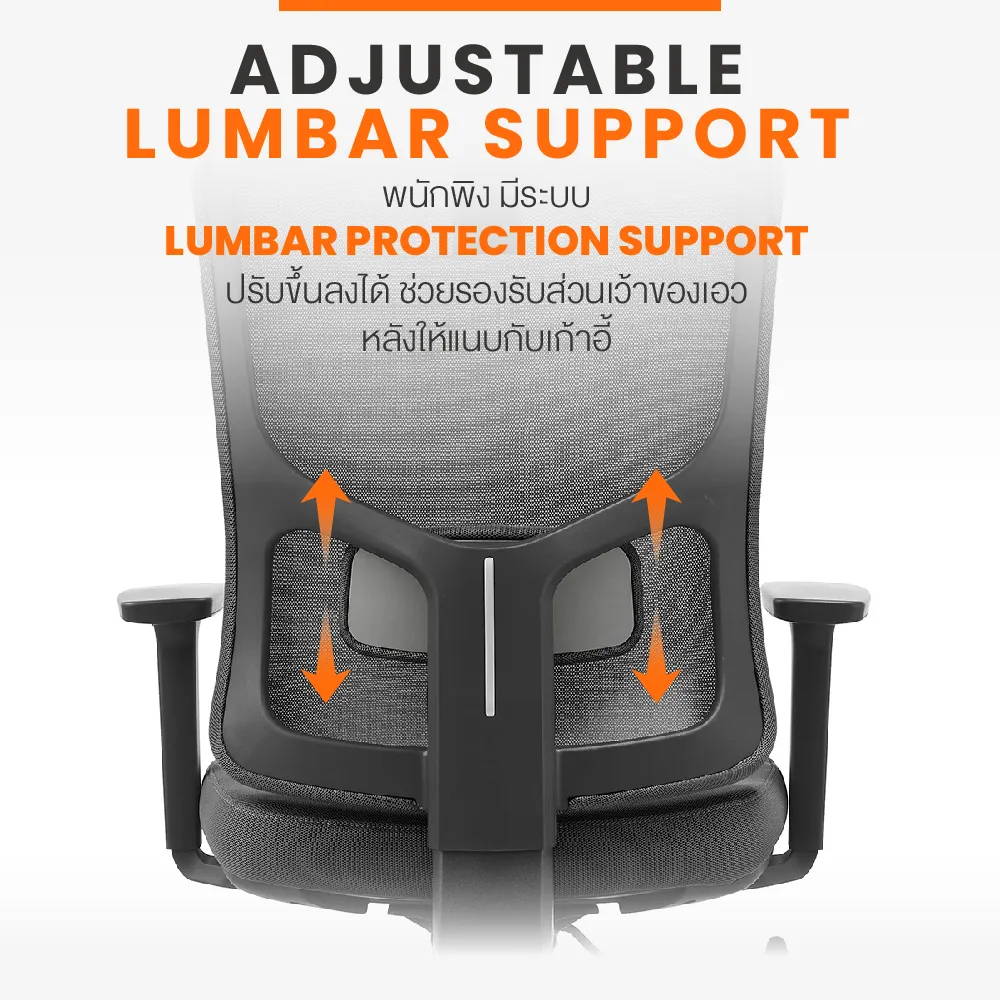 ระบบ Lumbar Support เก้าอี้ Ergotrend Milton ปรับรองรับส่วนเว้าของเอวและหลัง