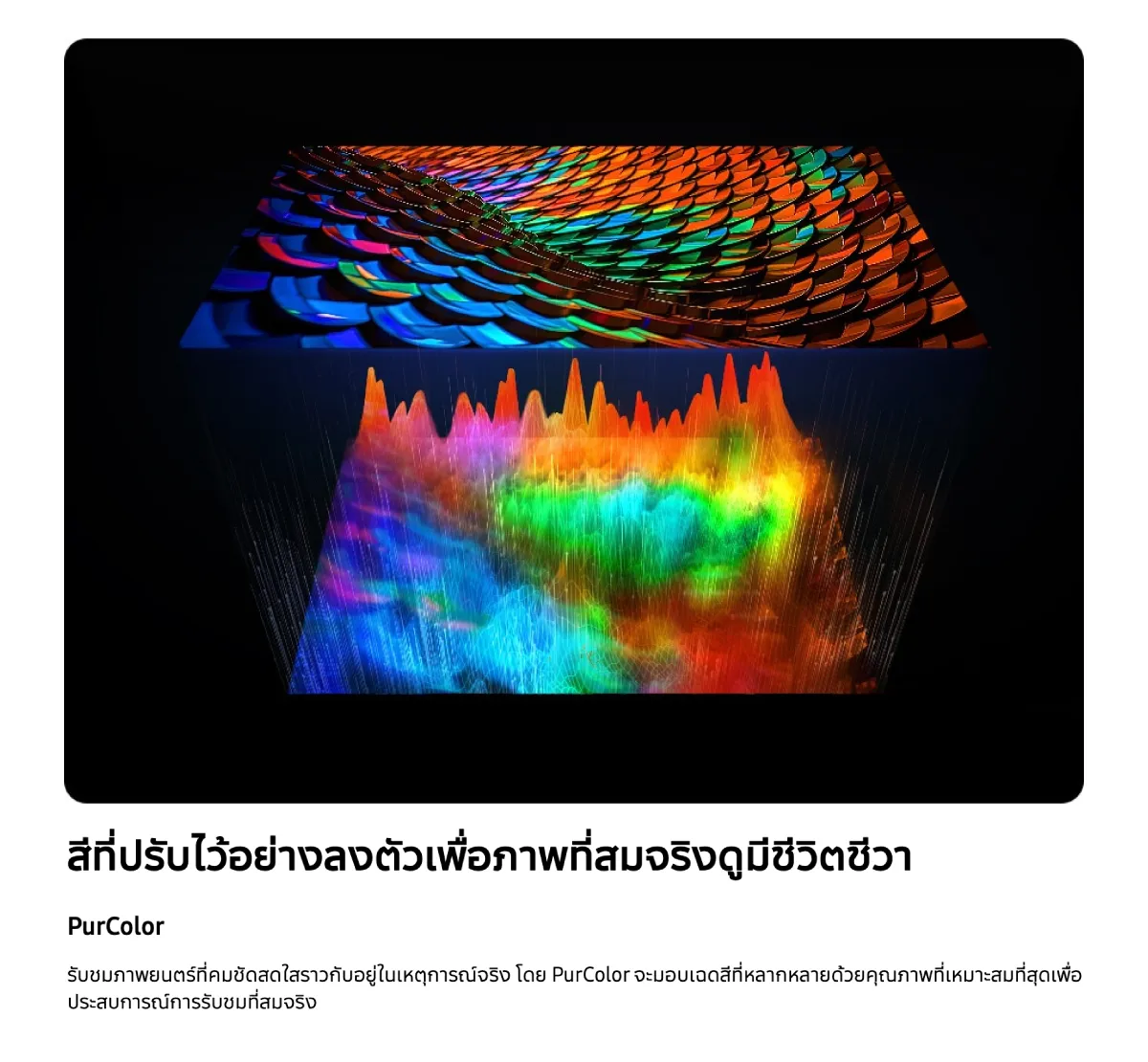 ทีวีซัมซุง 55 นิ้ว 4K (2025) รุ่น UE800F Pure Color